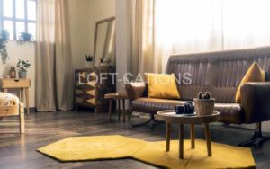 space loft