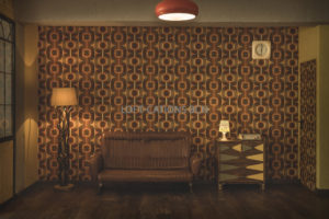 Space loft sala