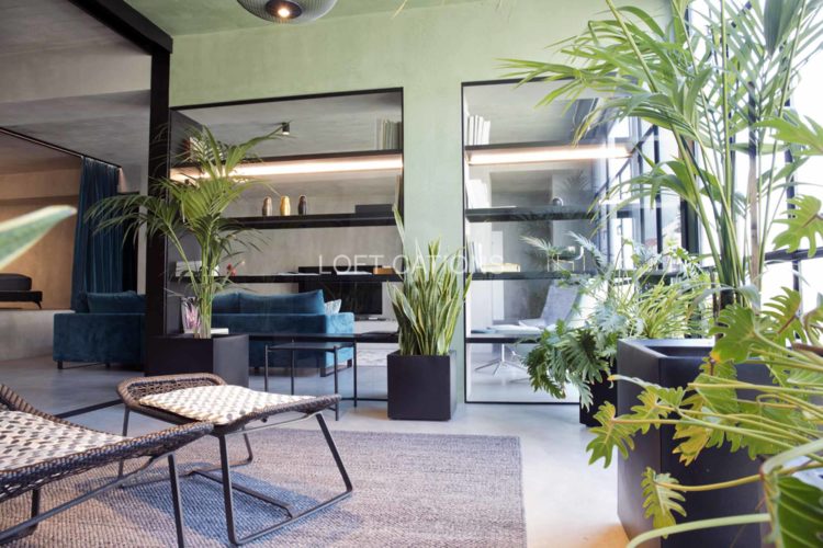 green loft