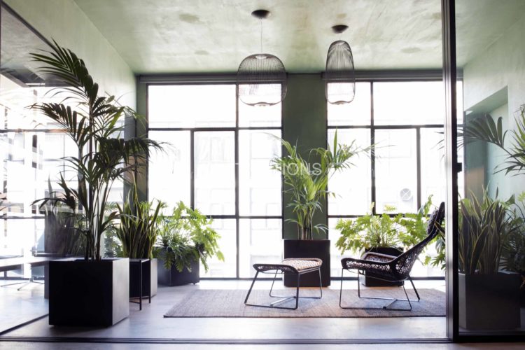 green loft